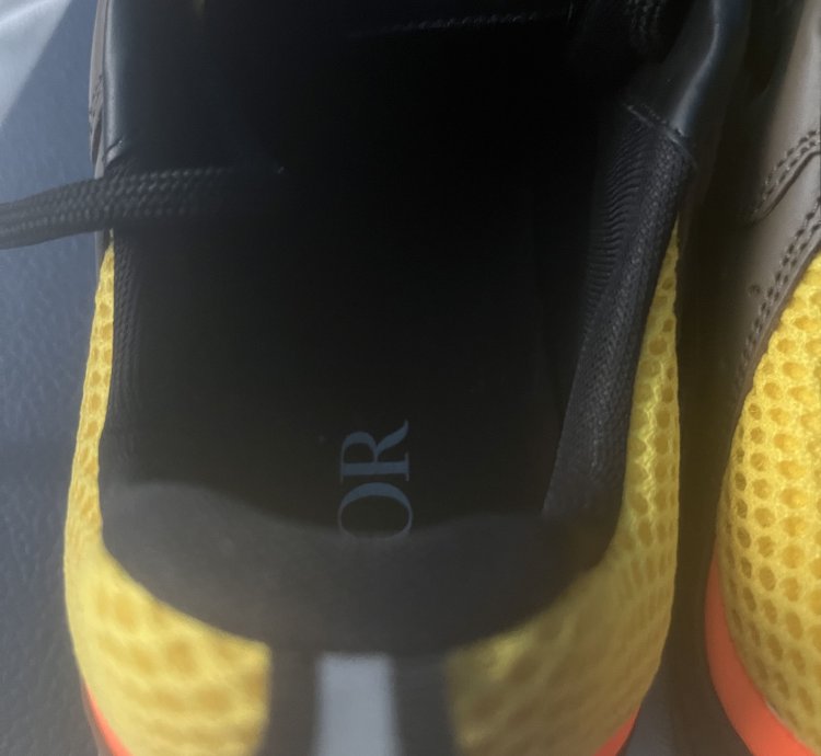 Dior B22 Calf Mesh