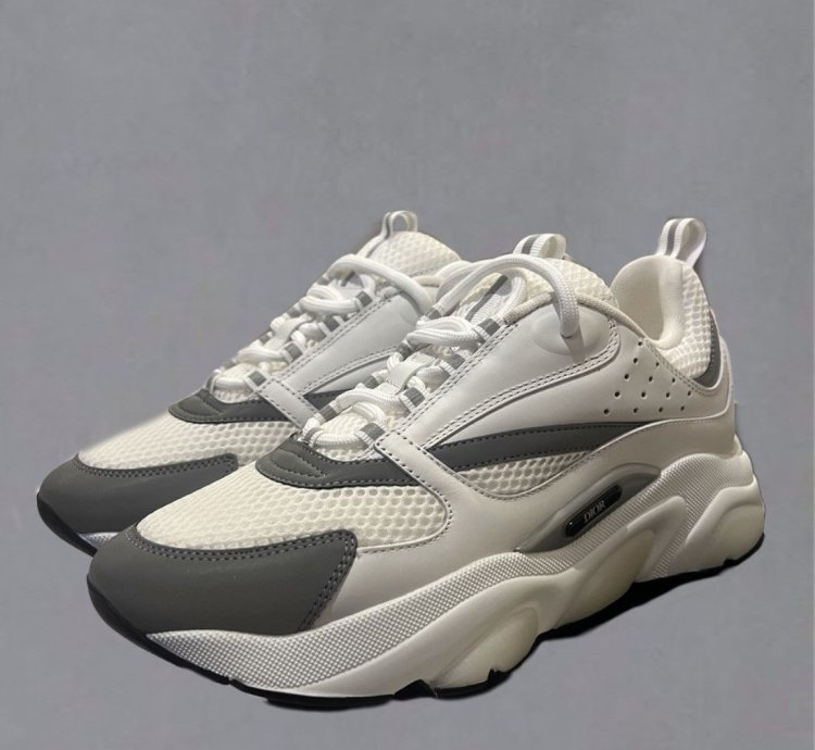 Dior B22 Calf Mesh Sneaker Reflective