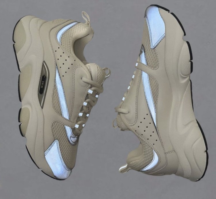 Dior B22 Calf Mesh Sneaker Reflective