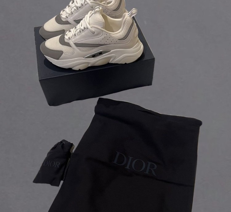 Dior B22 Calf Mesh Sneaker Reflective