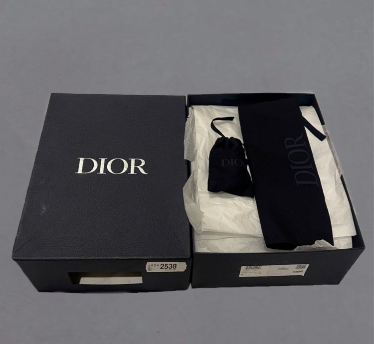 Dior B22 Calf Mesh Sneaker Reflective