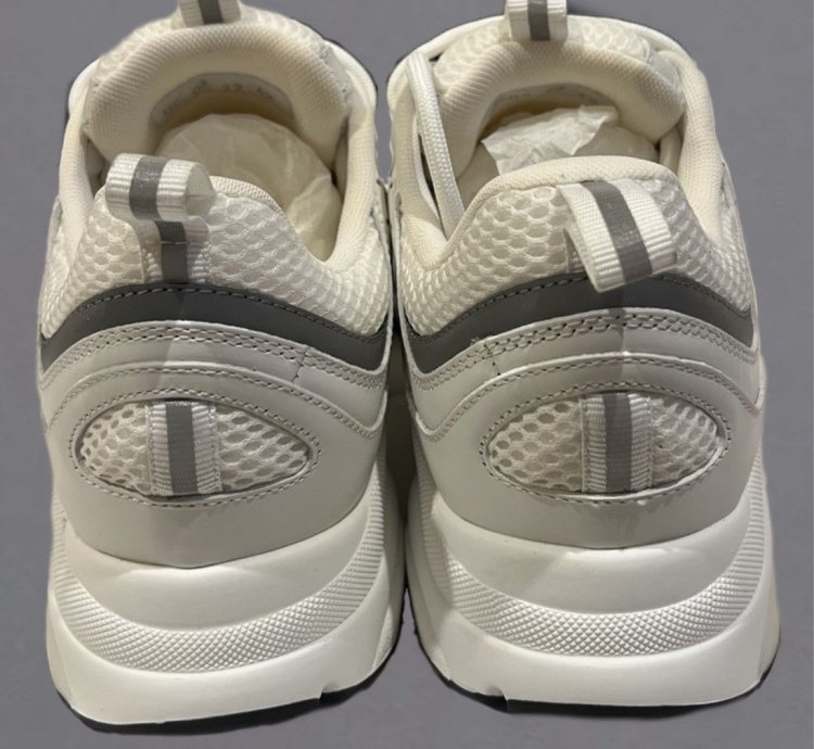 Dior B22 Calf Mesh Sneaker Reflective