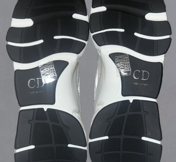 Dior B22 Calf Mesh Sneaker Reflective