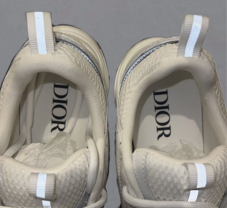 Dior B22 Calf Mesh Sneaker Reflective
