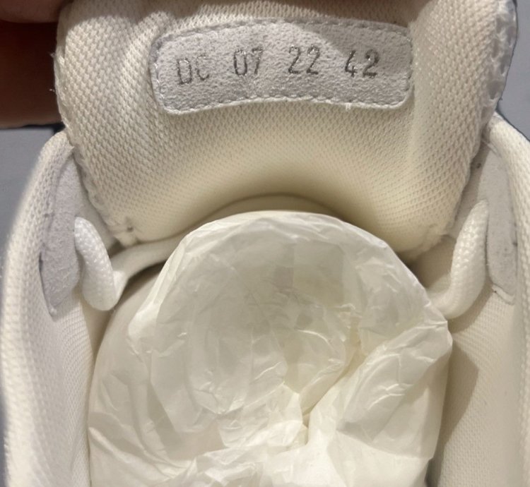 Dior B22 Calf Mesh Sneaker Reflective