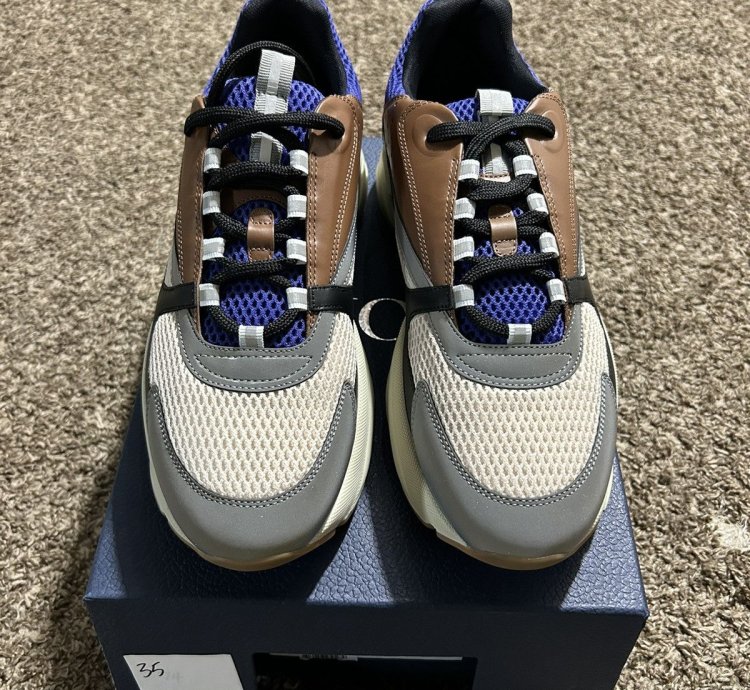 Dior B22 Coffe Violet