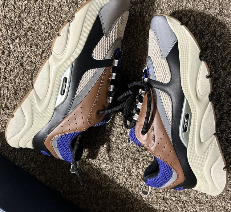 Dior B22 Coffe Violet