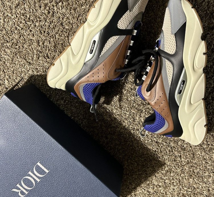 Dior B22 Coffe Violet