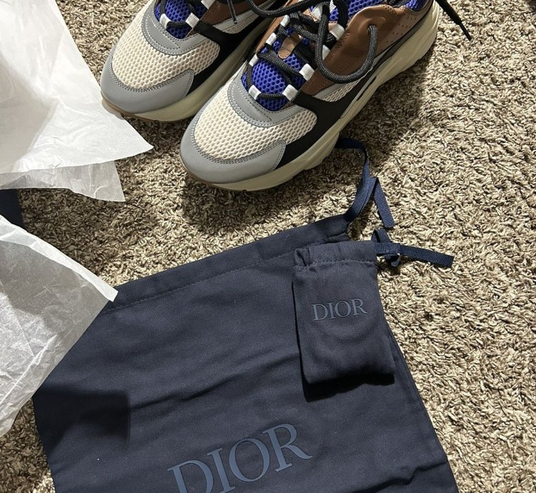 Dior B22 Coffe Violet