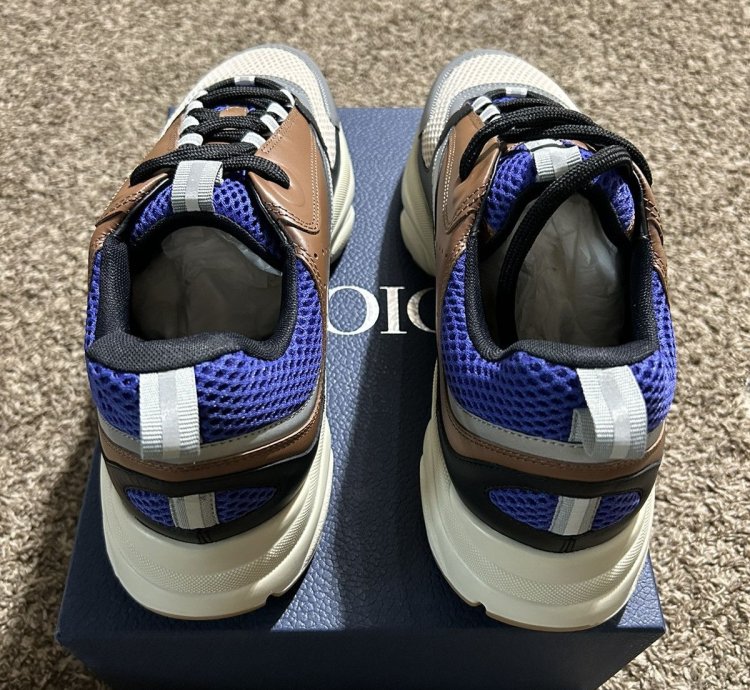 Dior B22 Coffe Violet
