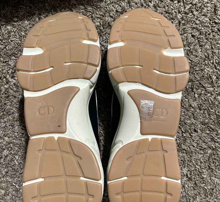 Dior B22 Coffe Violet