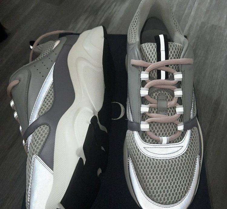 Dior B22 Gray Mesh