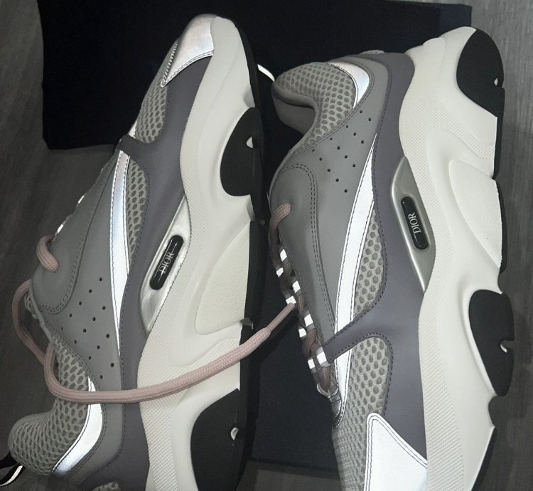 Dior B22 Gray Mesh