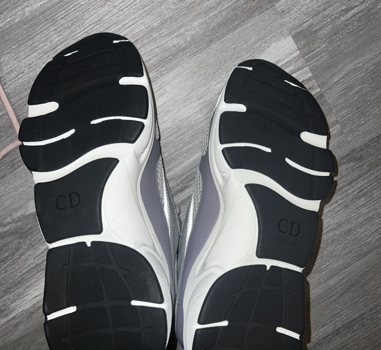 Dior B22 Gray Mesh