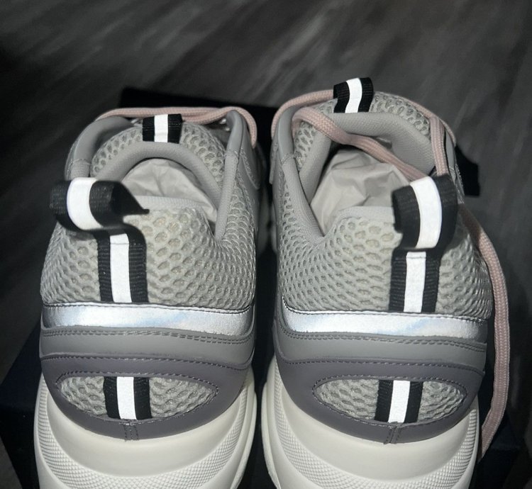 Dior B22 Gray Mesh