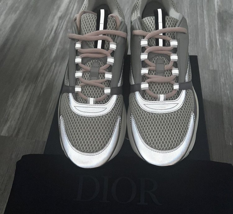 Dior B22 Gray Mesh