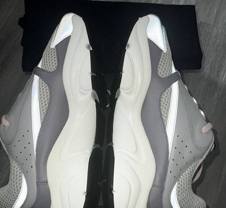 Dior B22 Gray Mesh
