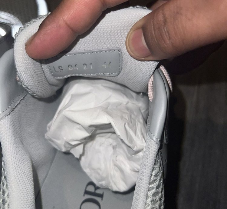 Dior B22 Gray Mesh