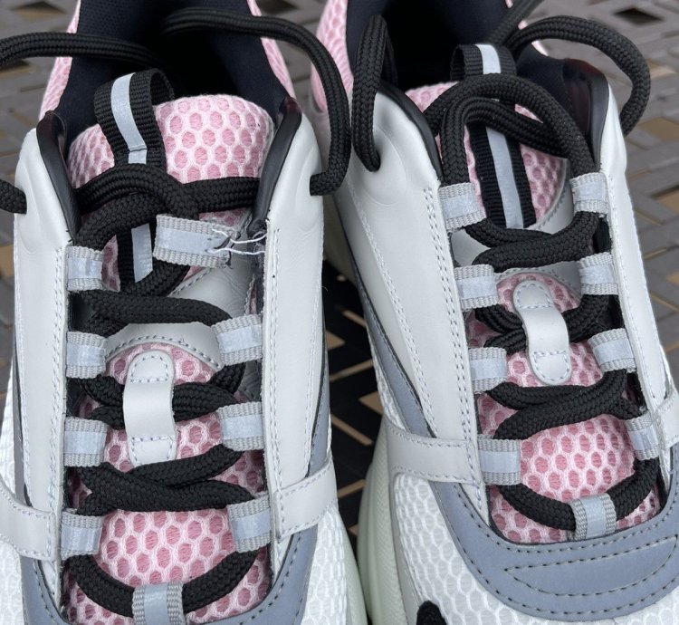 Dior B22 Grey Pink Sneakers Size 10