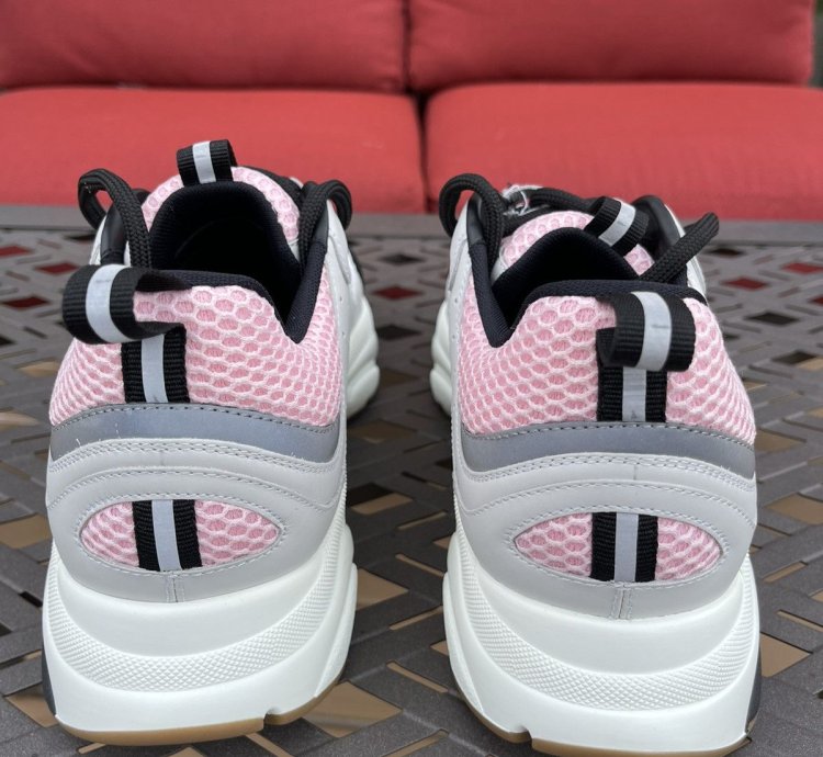 Dior B22 Grey Pink Sneakers Size 10
