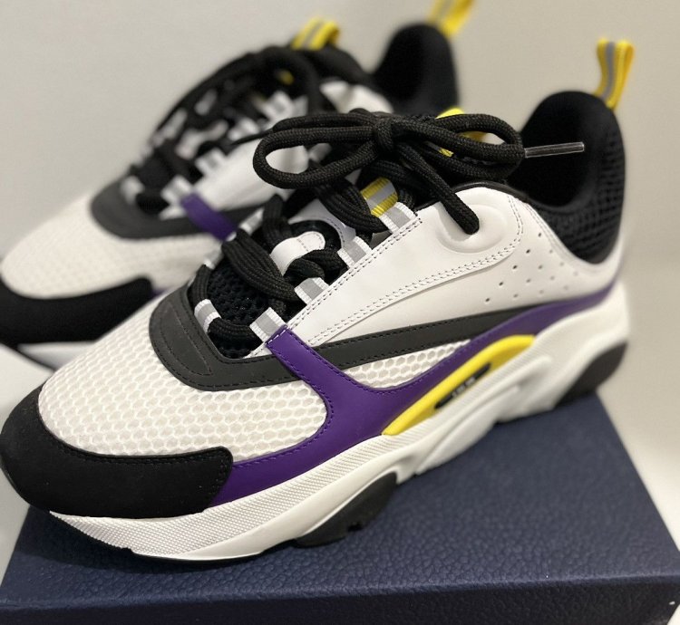 Dior B22 Laker