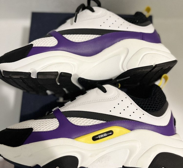 Dior B22 Laker