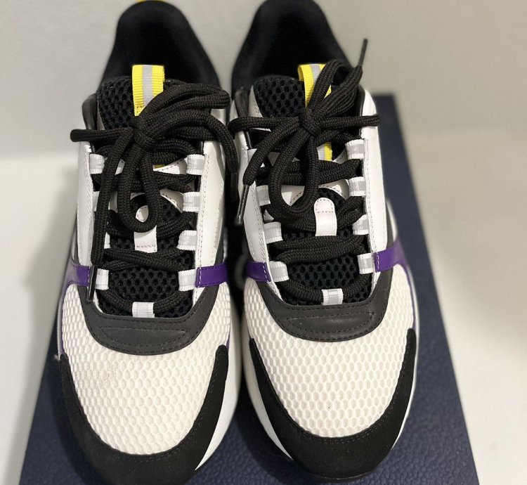 Dior B22 Laker