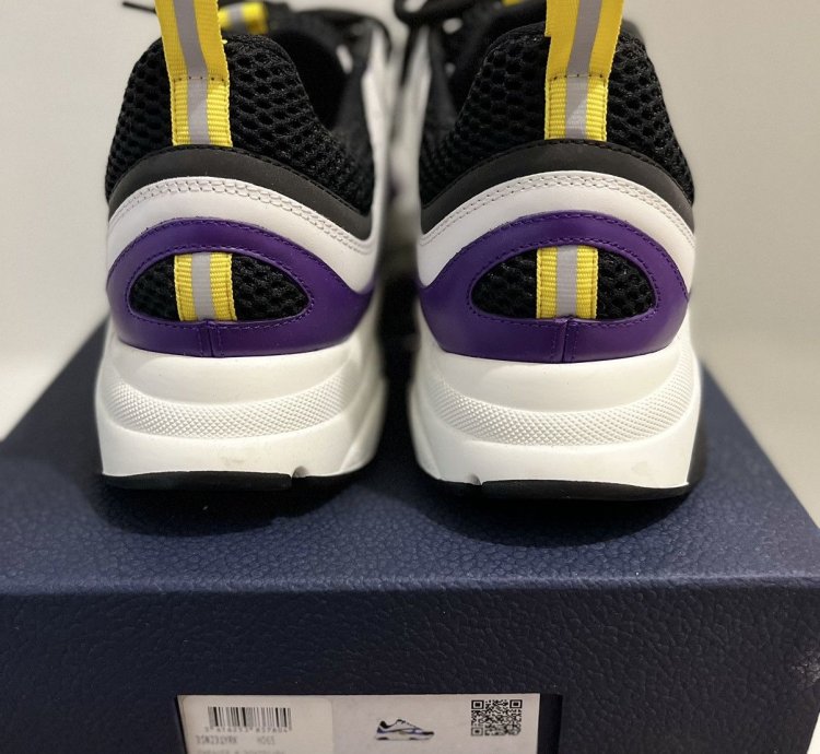 Dior B22 Laker