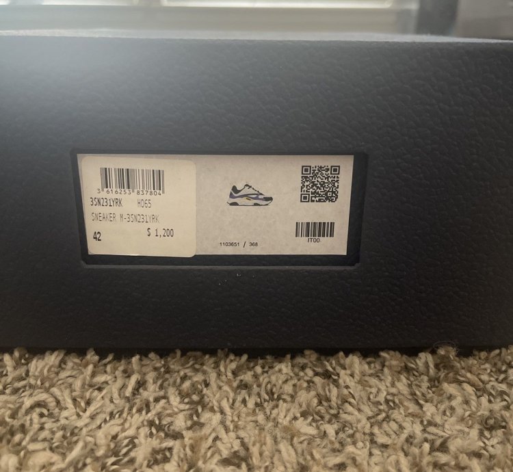 Dior B22 Laker
