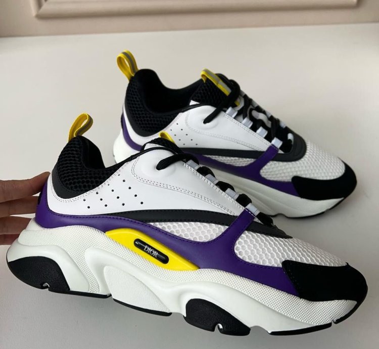 Dior B22 Low Top Sneakers
