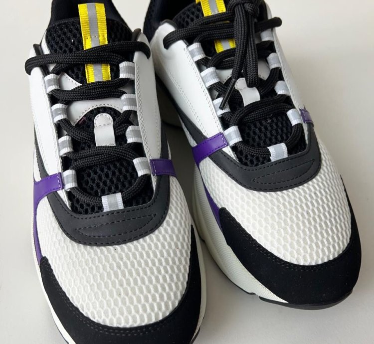 Dior B22 Low Top Sneakers