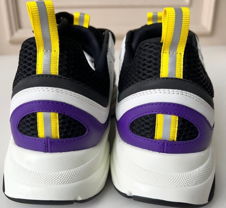 Dior B22 Low Top Sneakers