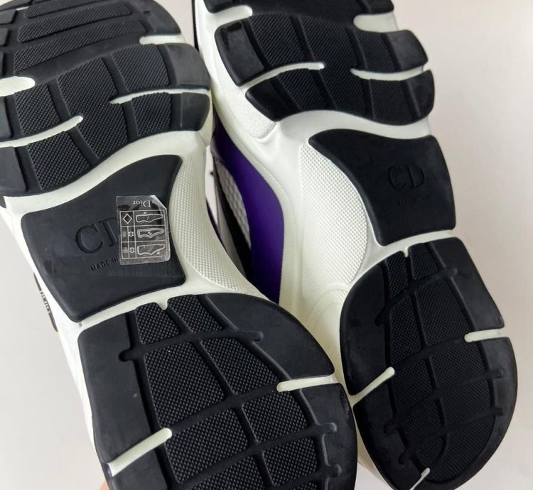 Dior B22 Low Top Sneakers