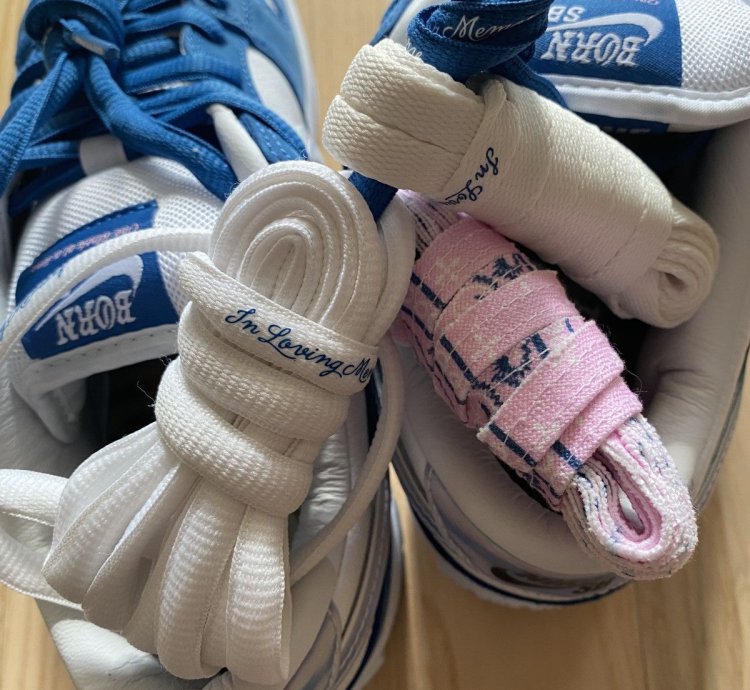Nike Born Raised Dunk Lo Pro Qs
