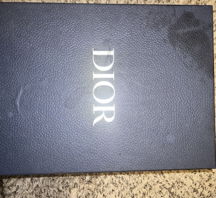 Dior B22 Neon Pink Blue