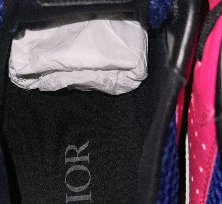 Dior B22 Neon Pink Purple