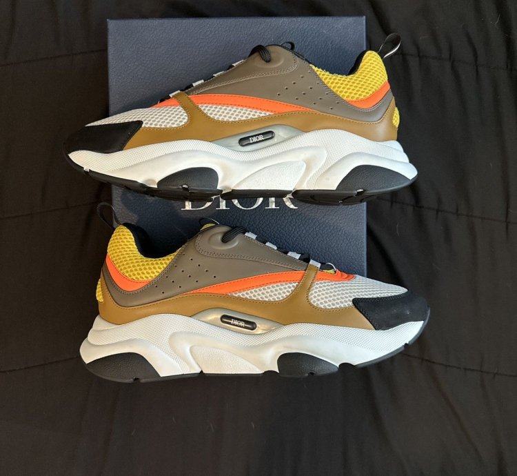 Dior B22 New