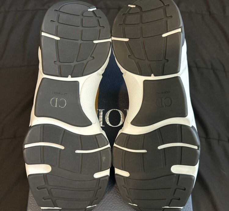 Dior B22 New