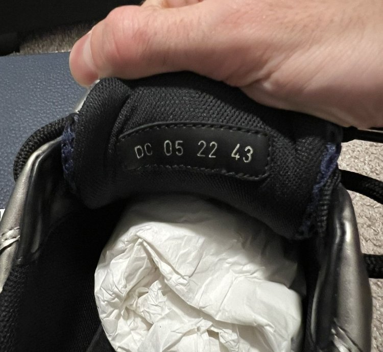 Dior B22 New Ds