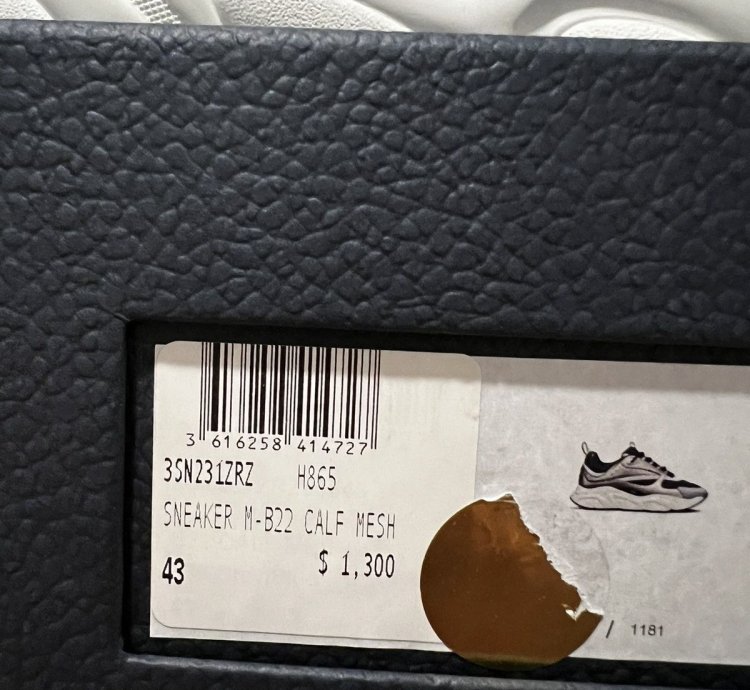Dior B22 New Ds