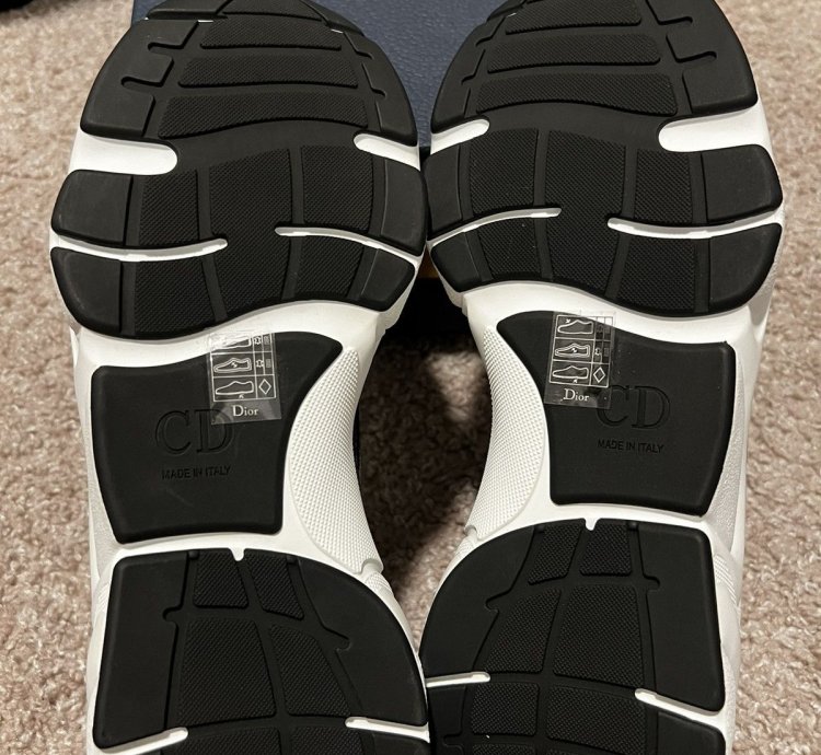 Dior B22 New Ds
