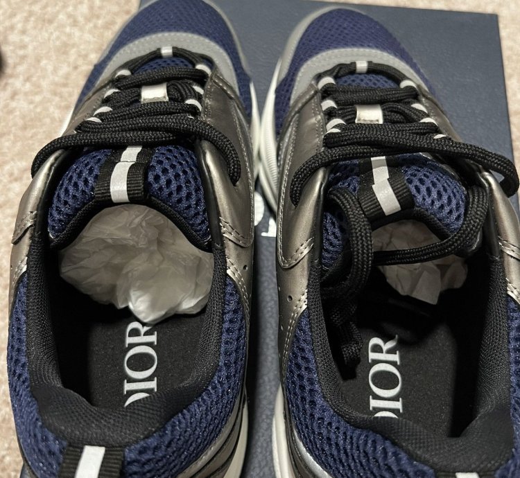 Dior B22 New Ds