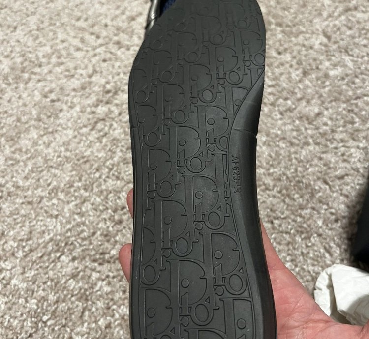 Dior B22 New Ds