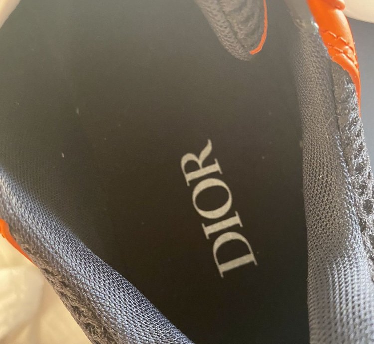 Dior B22 Orange White And Black