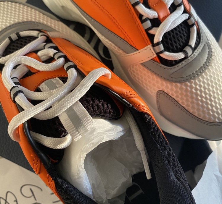 Dior B22 Orange White And Black