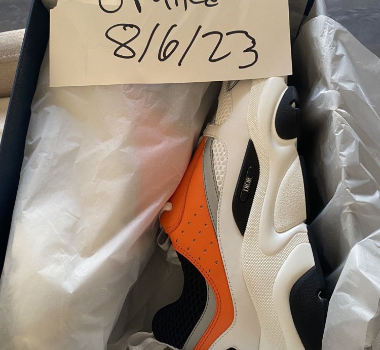 Dior B22 Orange White And Black