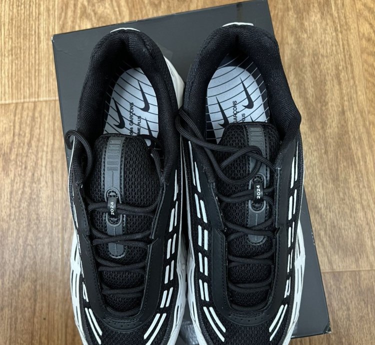 Nike Comme Des Gar Ons Air Max 2 5