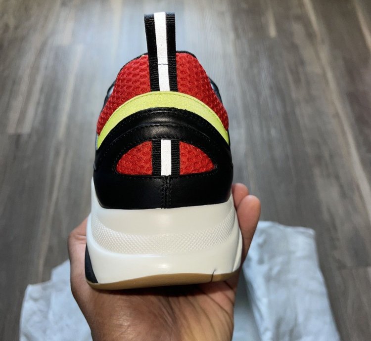 Dior B22 Original Color Way