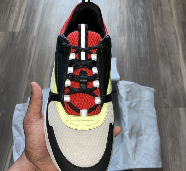 Dior B22 Original Color Way