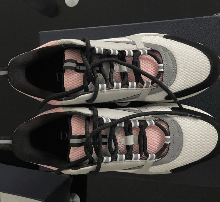 Dior B22 Pale Pink Grey